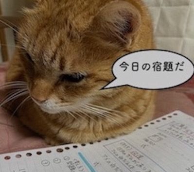 筑紫野市筑紫おおた