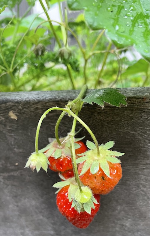 おおたsunちの学習塾